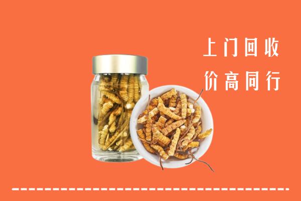 梧州回收冬虫夏草