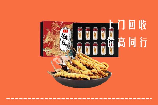 梧州回收虫草